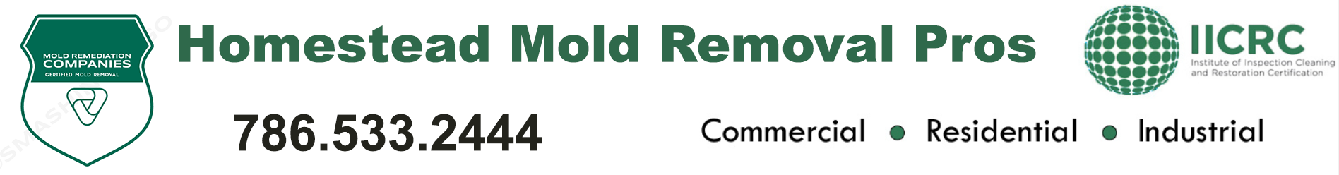 Homestead Mold Removal Pros